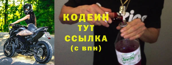 spice Богородск