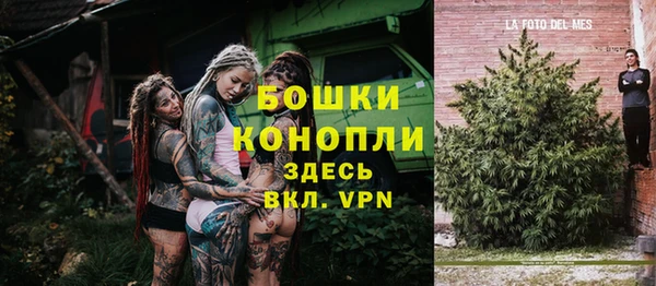 spice Богородск
