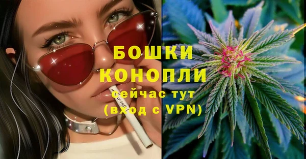 spice Богородск