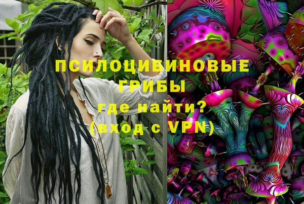 spice Богородск