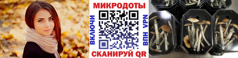 Галлюциногенные грибы GOLDEN TEACHER  купить   Новороссийск 