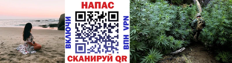 продажа наркотиков  Новороссийск  мега ссылка  Конопля семена 